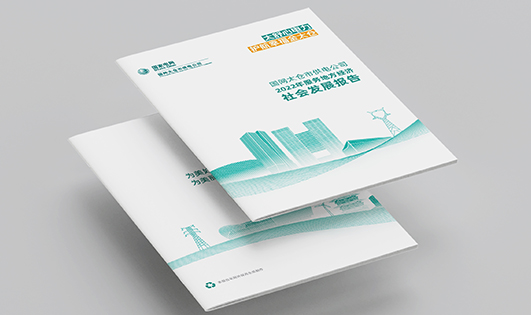 国网 社会发展报告